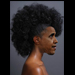 Obama Model3